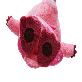 detail image5 Loopy Plush Doll