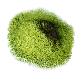 full image VIOSILQ Mulberry Leaf Powder