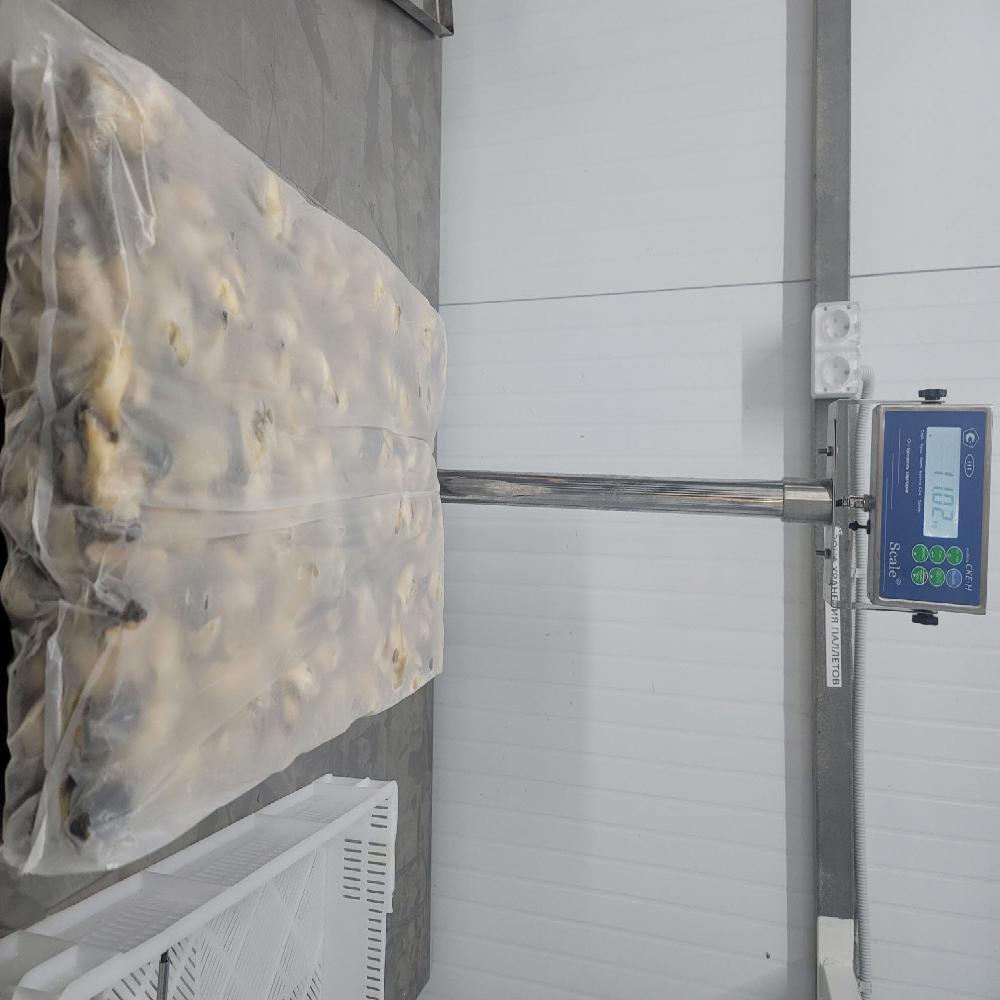 FROZEN BOILED TOP SHELL MEAT